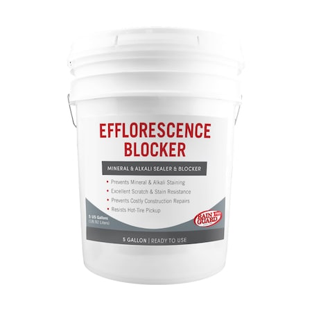 Rainguard Brands 5 Gal. Efflorescence Blocker Mineral and Alkali Sealer and Blocker EB-0105